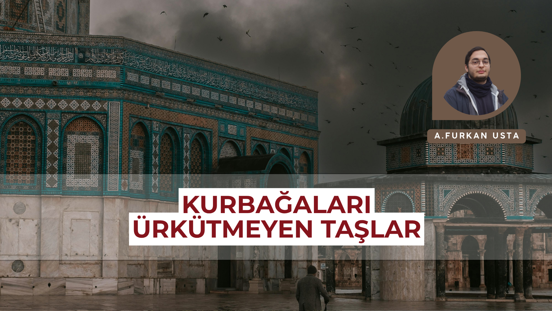 KURBAĞALARI ÜRKÜTMEYEN TAŞLAR