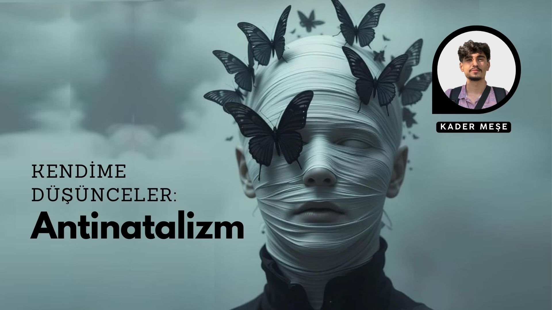 KENDİME DÜŞÜNCELER: ŞEFİN GÖZÜNDEN ANTİNATALİZM
