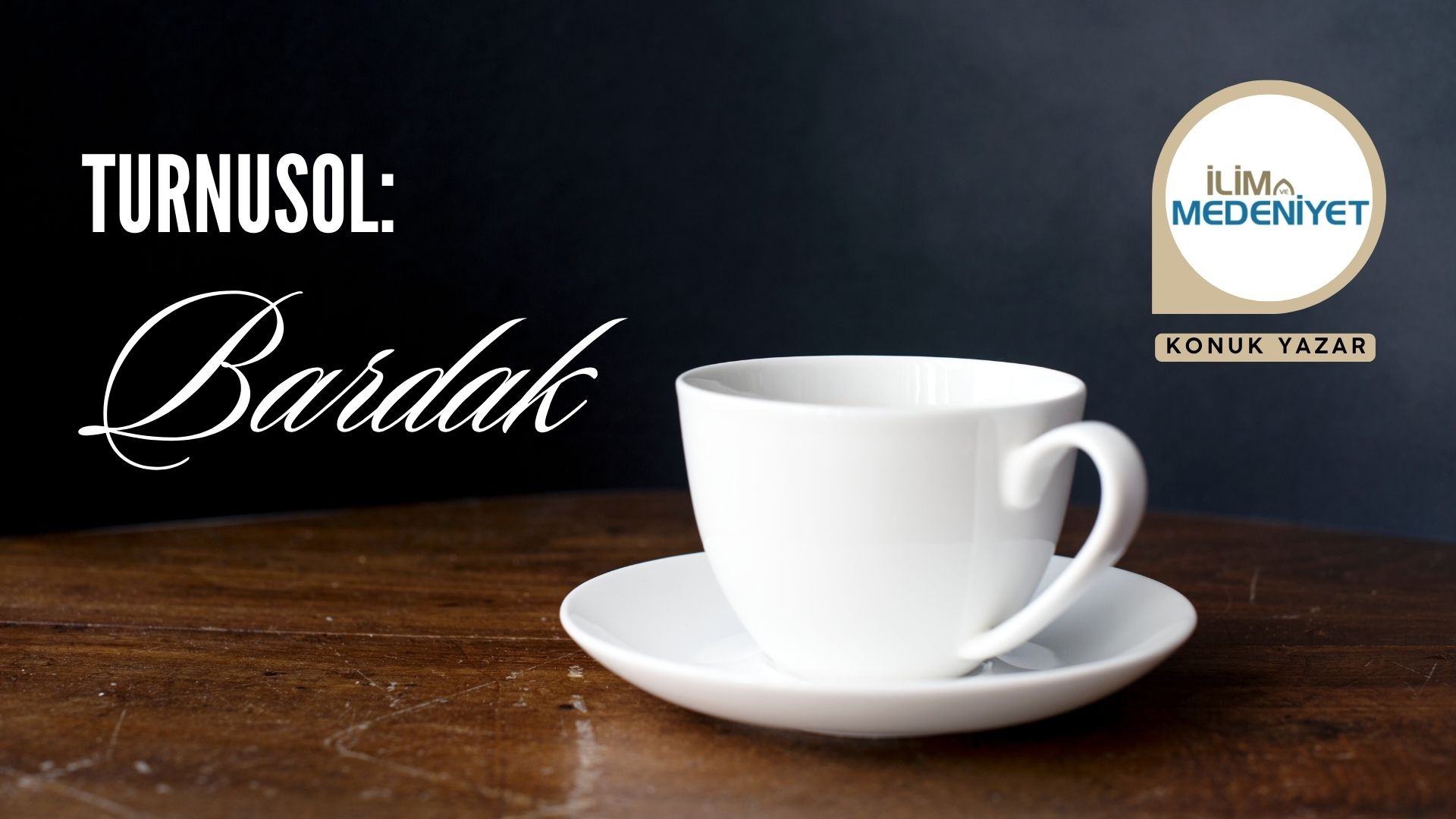 ‘TURNUSOL’: BARDAK