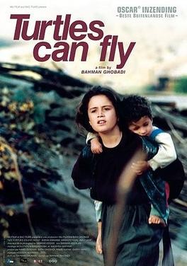 Turtles Can Fly: Plot Summary and Review